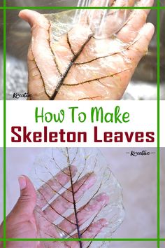 how to make skeleton leaves out of plastic