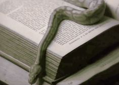 a green snake sitting on top of an open book