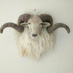 a ram head mounted on the wall with long hair