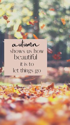 autumn shows us how beautiful it is to let things go - quote by dr seussler