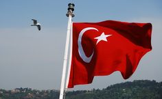 a flag flying in the wind next to a bird