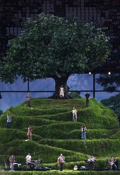 a group of people standing on top of a lush green field next to a tree