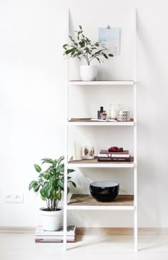 a white shelf filled with books and plants next to a potted plant on top of a wooden table