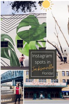 instagram spots in jacksonville, florida with palm trees and people standing outside the building