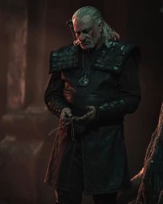 Vesemir The Witcher, Kim Bodnia, Netflix Original Series, New Netflix, Monster Hunter, Nightwing