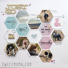 a collage of photos with dogs and words on it, including the word sweet mom