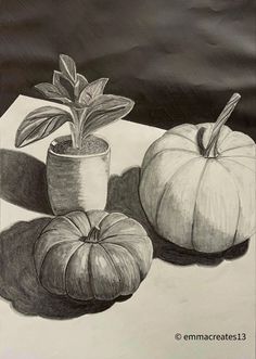 Draw Nature Sketches Pencil, Easy Charcoal Drawings, Kids Drawing Ideas, High School Art Teacher, Nature Sketches, Pumpkin Drawing, Scratchboard Art, Cover Pics For Facebook, Nature Sketch