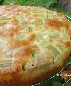 a pie sitting on top of a metal rack next to green leaves and plants in the background