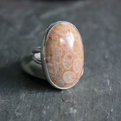 This is a huge fossilized coral cabochon set in a fine and sterling silver bezel setting with a split band.  Size 8 Hippy 70s, Plain Silver Rings, Fossilized Coral, Coral Ring, Jewellery Inspiration, Fossil Coral, Coral Jewelry, Glass Rings, Play Dress