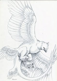 a pencil drawing of a bird with wings and a cat on it's back