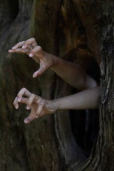 two hands reaching out from behind a tree