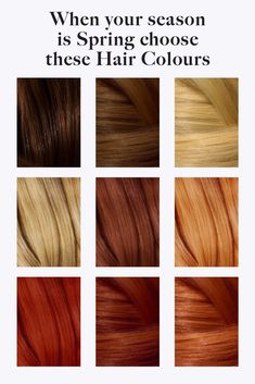 Find Your Perfect Hair Colour Based on Your Colour Season 
Knowing your Colours helps you choose clothing that complements you, making your eyes pop, your jawline look defined, and your skin complexion appear flawless. Light Pink Lipstick, Colour Season, Copper Blonde, Blonde Tones, Spring Hair Color