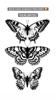 three butterflies are shown in black and white