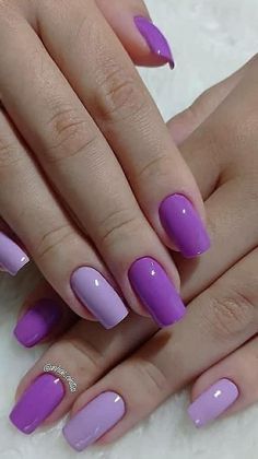 Best Summer Nails, Summer Nails Ideas, Pet Photos, Nails Ideas, Pet Adoption, Summer Nails, Latest Fashion Trends, Acrylic Nails