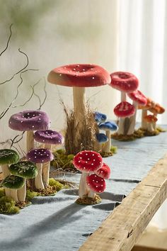 small mushrooms are sitting on the table with moss