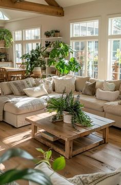 a living room filled with lots of furniture and plants on top of wooden flooring