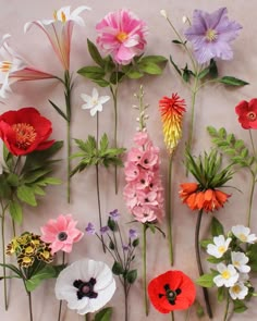 many different colored flowers are arranged on the wall