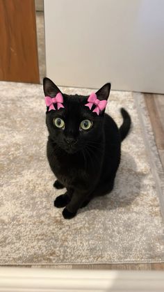 a black cat with pink bows on its head sitting on a rug in front of a door