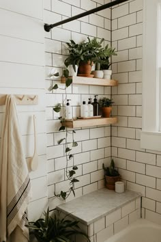 a white tiled bathroom with plants on the shelves