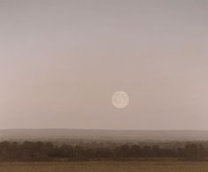 a large field with trees and a full moon in the sky