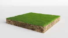 a piece of grass that has been cut in half and placed on top of it