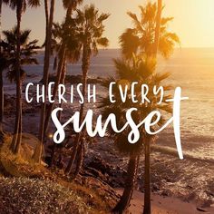 the words cherish every sunset are in front of palm trees near the ocean and beach