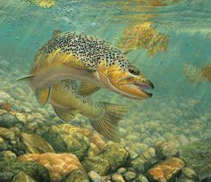 a painting of a large fish swimming in the water with rocks and algaes around it