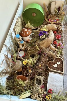 a box filled with lots of different types of plants and mushrooms in it's tray