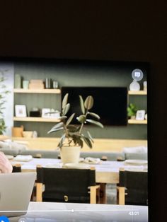 a woman sitting in front of a laptop computer on top of a white table next to a potted plant