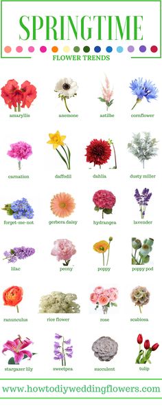 an image of flowers that are in different colors and sizes, with the words springtime flower