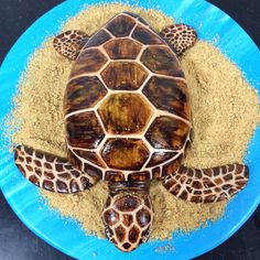 a turtle made out of sand on top of a blue plate