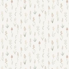 a white wallpaper with flowers and leaves in pastel colors on it's side