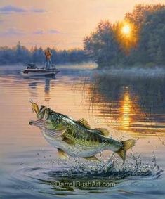 a painting of a bass jumping out of the water to catch a fly fisherman on a boat