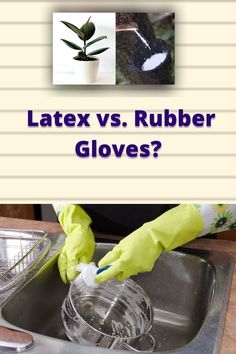 a person in yellow gloves is cleaning a sink with a green plant and the words latex vs rubber gloves?