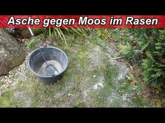 a bucket sitting on top of a grass covered field next to rocks and trees with the words, asche gegen moos in rasen