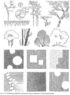 several different types of trees and bushes are shown in this drawing, which shows the various shapes