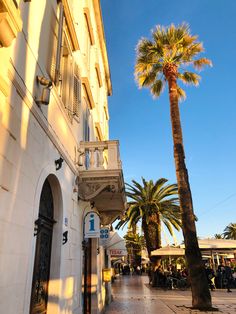 palm trees line the sidewalk in front of an old building