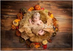 a newborn baby is curled up in a wreath surrounded by autumn leaves