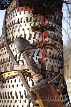 a close up view of an elaborately decorated horse's head and neck armor