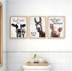 three framed pictures on the wall above a toilet