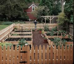 a person standing in the middle of a garden