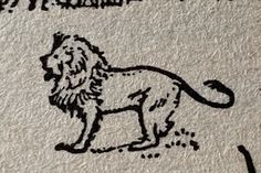 a drawing of a lion on the side of a building with words written below it