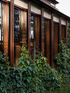 a building with lots of windows and green plants growing on the outside wall next to it