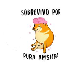 a dog with a pink hat sitting on top of it's back and the words sobbrevo por pua amisiada