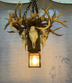 an animal skull hanging from a light fixture