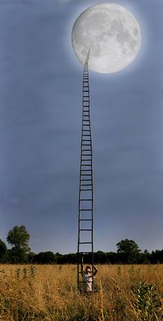 a man standing on top of a ladder in the middle of a field under a full moon