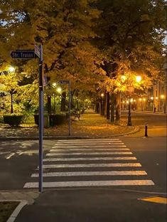 an empty crosswalk at night with street lights and trees in the background on a city street