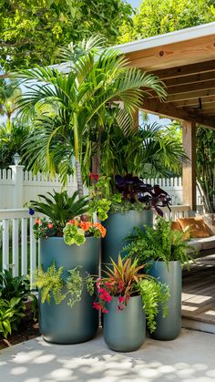 several potted plants in front of a white fence