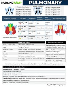 an info sheet describing the different types of lungs