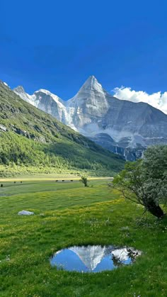 the mountains are covered in snow and green grass, with small puddles of water